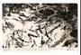 Real Photograph by Dawson of Fairy Springs Rotorua. - 46264 - Postcard