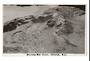 Real Photograph by N S Seaward of Boiling Mud Pools Rotorua. - 46282 - Postcard