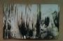 Real Photograph by Radcliffe of Aranui Cave Waitomo. - 46412 - Postcard