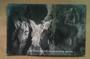 Real Photograph by Radcliffe of The Famous Blankett Waitomo Caves. - 46413 - Postcard