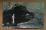 Postcard of The Bridge of Sighs Ruakuri Cave. - 46418 - Postcard