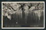 Real Photograph by P Tarrant Waitomo of Glow Worm Grotto. - 46427 - Postcard