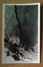 Real Photograph by A B Hurst & Son of The Tomo Waitomo Caves. - 46431 - Postcard
