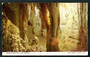 Coloured postcard by Tanner Couch of the Shawl behind the Organ Waitomo Caves - 46443 - Postcard