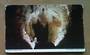 Coloured postcard by Tanner Couch of Silica Formation Waitomo Caves - 46444 - Postcard