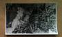 Real Photograph by N S Seaward of Waitomo Caves. - 46455 - Postcard