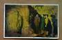 Coloured postcard by Reed of Waitomo Caves. - 46465 - Postcard