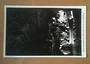 Postcard of Glow-worm Grotto Waitomo Caves. - 46466 - Postcard