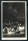 Postcard of Glow-worm Grotto Waitomo Caves. - 46466 - Postcard