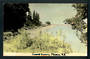 Tinted Postcard by N S Seaward of Coastal Scenery Thames. - 46687 - Postcard