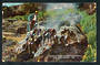 Coloured postcard of Crow Nest Geyser (Quiescent) The Spa Taupo. - 46693 - Postcard