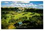 Modern Coloured Postcard of Rangatira Golf Course near Hunterville. - 46876 - Postcard