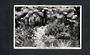 Real Photograph by N S Seaward of Garden Scene Stratford. - 46910 - Postcard