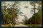 Coloured postcard of Awahuri Road Palmerston North. - 47248 - Postcard