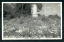 Real Photograph by N S Seaward of the Levin Memorial. - 47304 - Postcard