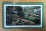 Coloured postcard of the Botanical Gardens Wellington. - 47335 - Postcard