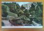 Coloured postcard of a Scene in the Botanical Gardens Wellington. - 47338 - Postcard