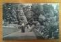 Postcard of the Botanical Gardens Wellington. - 47339 - Postcard