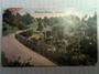 Coloured postcard of Botanical Gardens. - 47451 - Postcard