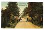Coloured postcard of the Botanical Gardens Wellington. - 47756 - Postcard
