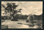Postcard of Fish Hatcheries Masterton. - 47865 - Postcard