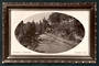 Real Photograph of Botannical Gardens Napier. - 47907 - Postcard