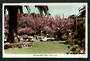 Coloured Real Photograph by Hurst of Clive Square Napier. - 47925 - Postcard