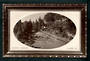 Real Photograph of Botanic Gardens Napier. - 48060 - Postcard