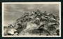 Real Photograph of Gannet Sanctuary Cape Kidnappers New Zealand. - 48067 - Postcard