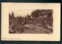 Postcard of The Gardens Napier. - 48084 - Postcard