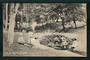 Postcard. In the Domain Akaroa. - 48262 - Postcard