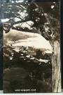 Real Photograph. A peep at Akaroa. - 48263 - Postcard