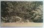 Postcard In the Bush Akaroa. - 48272 - Postcard