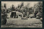 Postcard of Caretakers Cottage and Grounds Hamner Springs. - 48279 - Postcard