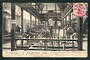 Early Undivided Postcard of The Moa Room Christchurch Museum. - 48347 - Postcard