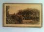 Postcard of Public Gardens Christchurch. - 48422 - Postcard