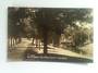 Real Photograph by Radcliffe of the Avon Christchurch. - 48427 - Postcard