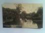Real Photograph by Radcliffe. On the Avon at Fendalton Christchurch. - 48431 - Postcard