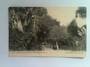 Postcard of a View in the Christchurch Botanical Gardens. - 48443 - Postcard