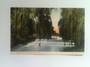 Coloured postcard of River Avon at Fendalton Christchurch. - 48447 - Postcard