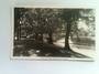 Real Photograph by Hurst Avon River Bank Christchurch. - 48451 - Postcard