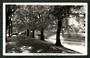 Real Photograph by Hurst Avon River Bank Christchurch. - 48451 - Postcard