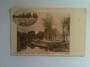Early Undivided Postcard of Hagley Park. - 48472 - Postcard