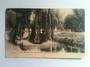 Postcard of River Avon and Bridge Christchurch. - 48476 - Postcard