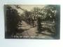 Real Photograph by Radcliffe of The Rosary Public Gardens Christchurch. - 48480 - Postcard