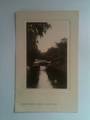 Real Photograph of Christchurch Gardens River Avon. - 48486 - Postcard