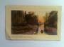Coloured postcard of Avon River Christchurch. - 48489 - Postcard