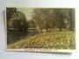 Tinted postcard by N S Seaward of Springtime in Christchurch - 48491 - Postcard