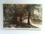 Real Photograph by Hurst of the Avon River Bank. - 48503 - Postcard