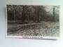 Real Photograph by N S Seaward of Springtime in Christchurch - 48521 - Postcard